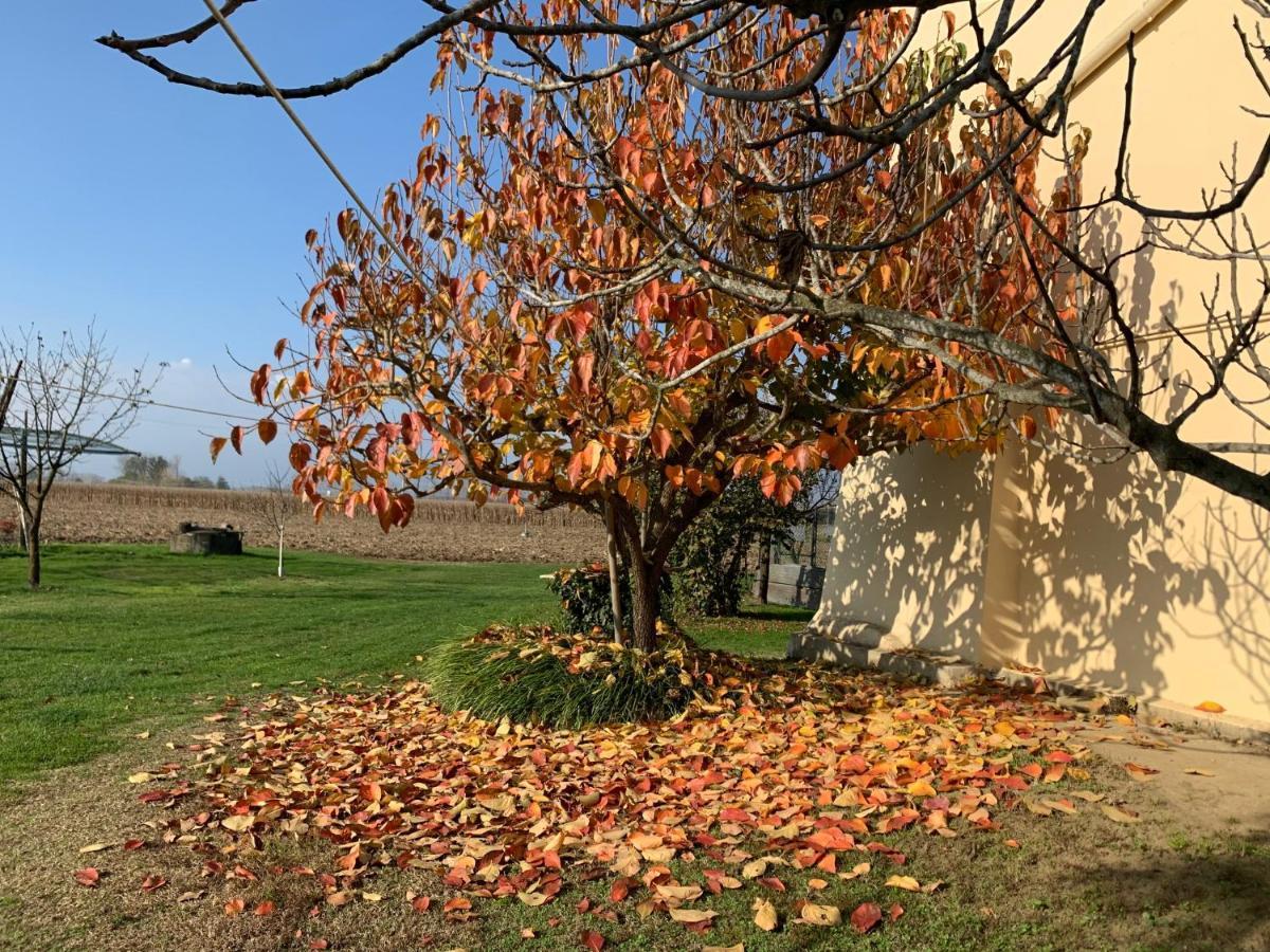 Albiano dʼIvrea Agriturismo Cascina Mariale מראה חיצוני תמונה